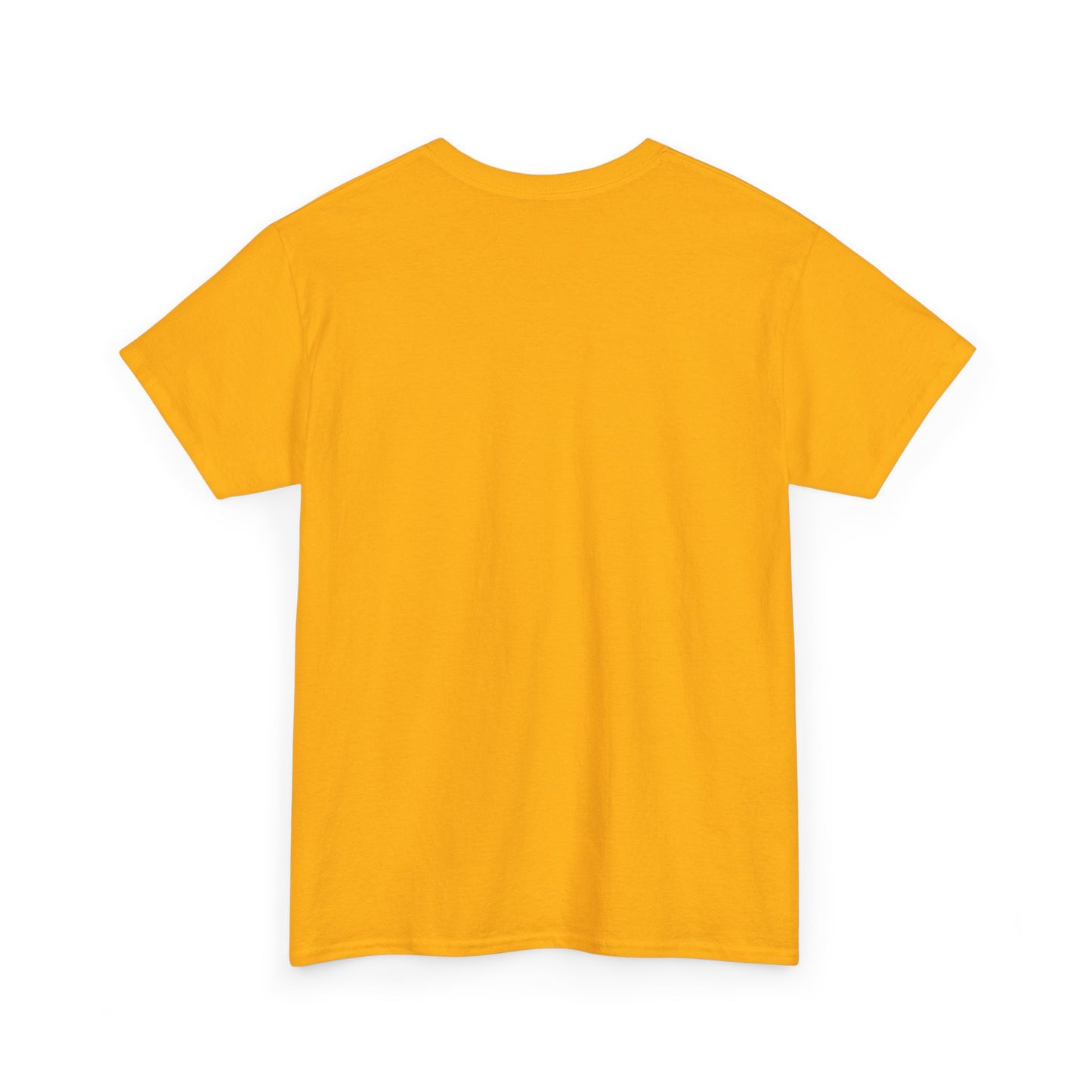 Runic Whispers: Secrets Beneath the Grunge T-Shirt